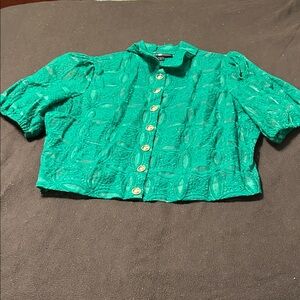 Ashley Stewart Teal Lace Button-Up Top